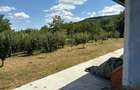 Teren de 1400 mp, în Răducăneni