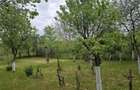 Vand teren intravilan, 500 mp, Satu Mare, zona Bercu Rosu - 5