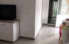 Teren 8700 mp intravilan+ casa de vanzare Cornatelu - 8