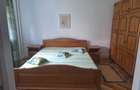 Apartament 2 camere Arad, recent renovat, cartier Vlaicu de inchiriat - 7