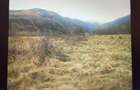 Teren 1.000 MP IN DEJANI la marginea padurii, PRIVELISTE DEOSEBITA - 4