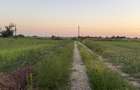 Ideal Investitie - Str Ctin Brancoveanu, zona noua, intravilan in noul PUG - 7