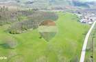 Teren de vanzare sau inchiriat 19ha intravilan, Agnita,Sibiu - 9