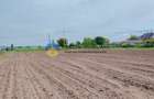 Teren- Com. Stefan cel Mare- jud. Neamt - 10