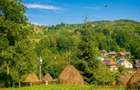 Teren Breaza 7000Mp intravilan - Valea Tarsei