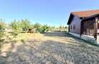 Casa de vanzare 3camere Teren1080 Turnu(cu posibilitatea schimb cu ap) - 16