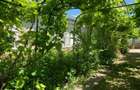 casa si teren de vanzare ,comuna nana,judetul calarasi - 6