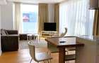 Penthouse 3 camere camere Piata Victoriei - 9