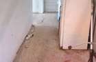 Vand urgent 21.000 euro - 6