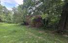 Teren de vanzare 15.000 mp in Telega - 3