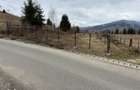 Vand teren Intravilan Albac Apuseni - 1