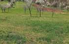 Teren de 2800 mp, în Ormindea