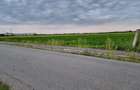 Teren de 30000 mp, în Filipeștii de Târg - 1