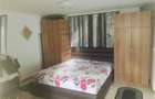 Casa 90 mp, 2 camere, baie, toate utilitatile, Islaz - Plantelor - 9