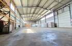 Hală producție + birouri, 2.600 mp, Parc Industrial 1 Borș – Oradea - 4