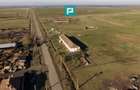 Hală industrială cu teren generos în Zărand, Arad