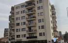 Apartament spatios si luminos in Dambul Rotund - 4