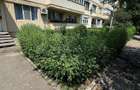 Apartament 3 camere, complet renovat, mobilat si utilat Tiglina II - 18
