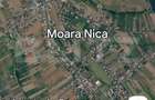 Teren de vanzare intravilan, 20 ari, Moara Nica - 1