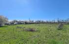 Teren intravilan 2000 m2, comuna Topraisar - 1