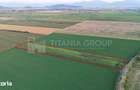 Teren extravilan, 8700 mp, pretabil agricultura sau investi?ie - Bod - 4
