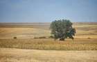 Vanzare Inchiriere teren pa?une 59 Ha-Ideal Parc Energetic