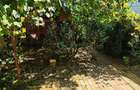 Casa 4 camere, teren 315 mp, garaj Cantacuzino, Ploie?ti - 15