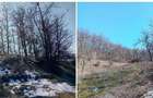 Teren Loc. Lapos, jud. Prahova ; ID: R2967508 - 1