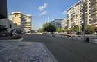 Spatiu de inchiriat Bd. Anastasie Panu, Centru