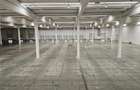 Spatiu Industrial - 5000 mp - Logistica - Depozitare - Distributie - 1