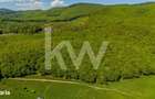 Teren 1500 mp | Zona Viesel Codlea | Priveliste Superba | Investit - 8