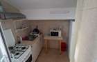 Apartament 1 camera Copou - Universitate - 3