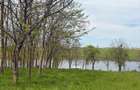 Oportunitate ideala pentru casa langa lac si padure de salcami - 3