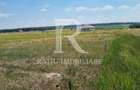 Teren intravilan | Cihei | Bihor - 3