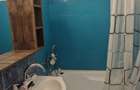 Inchiriez apartament 2 camere Calea Romanilor - 2