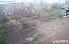 Vand doua case in Contesti - Teleorman - 4