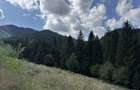 Teren intravilan deosebit, 572 mp, langa padure POT 40% Ideal rezidential, Strada Morii , Mun. Sacele - 8