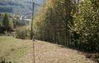 Teren intravilan 1500 mp pentru casa de vacanta - 2