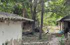 CREVEDIA - DARZA - TEREN 884MP I UTILITATI IN ZONA I COMISION 0% - 6
