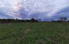 Teren intravilan 500 mp + cota drum privat | Sector 1 - 4