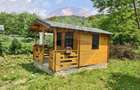 Proprietate de vis la munte | Foisor + Cabanuta | Utilitati complete - 2
