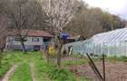 Casa si 3919 mp teren intravilan  in  Bucuresci, jud. Hunedoara - 1