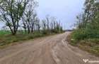 Teren Branesti -Romancierilor - Branesti (Bucuresti-Ilfov) - 1