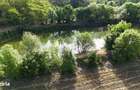 Domeniu de 13.054 mp cu vila de ~1.000mpc si lac privat Teisori, Bulbu