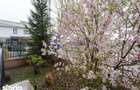 Apartament 2 camere | Soleia Residence | Valea Lupului - 10