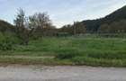 Vand teren intravilan Buciumi, 500e/ar fix. - 6
