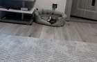 Apartament cu 2 camere nedecomandat în Central - 2