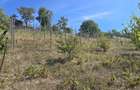 Teren intravilan in Manolesti Deal - 2