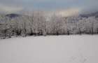 House for sale, 5 Rooms, 180 sqm, Valea Dejani - 4