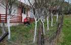 Casa de vanzare Ro?ia Montana, Jud.Alba - 1
